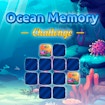 Ocean Memory Challenge